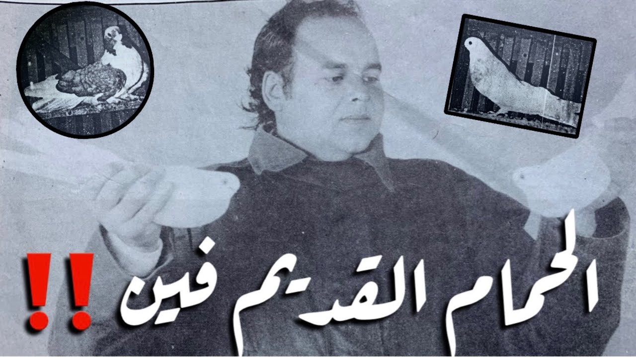 الحمام القديم راح فين ‼️مع ا/كرم فريد#لوفت_عمرو_اشرف
