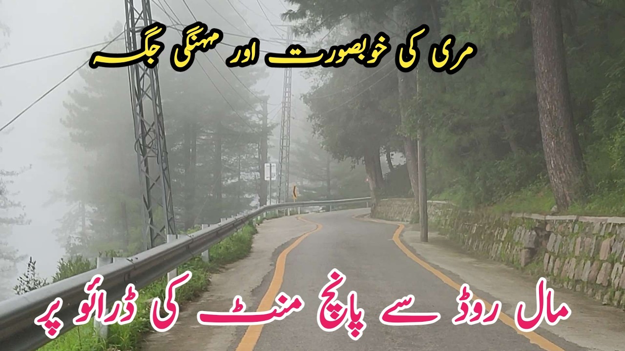 Murree live today #murree #murreeupdate Murree mall road #murreelivetoday #murree #murreemallroad