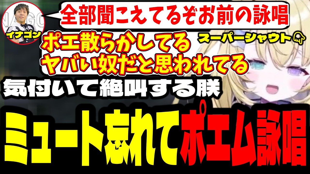 【NEWTOWN１７日目】ダウン中ミュートを忘れスーパーシャウトでポエムを詠唱してしまい発狂する朕【メーメントヴァニタス/イナゴン/釈迦/けんき/切り抜き】