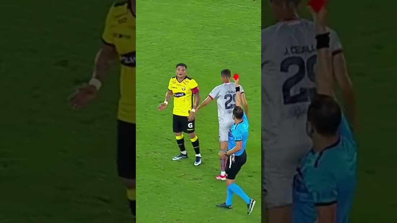 La infantil expulsión de Pineida. 🚨