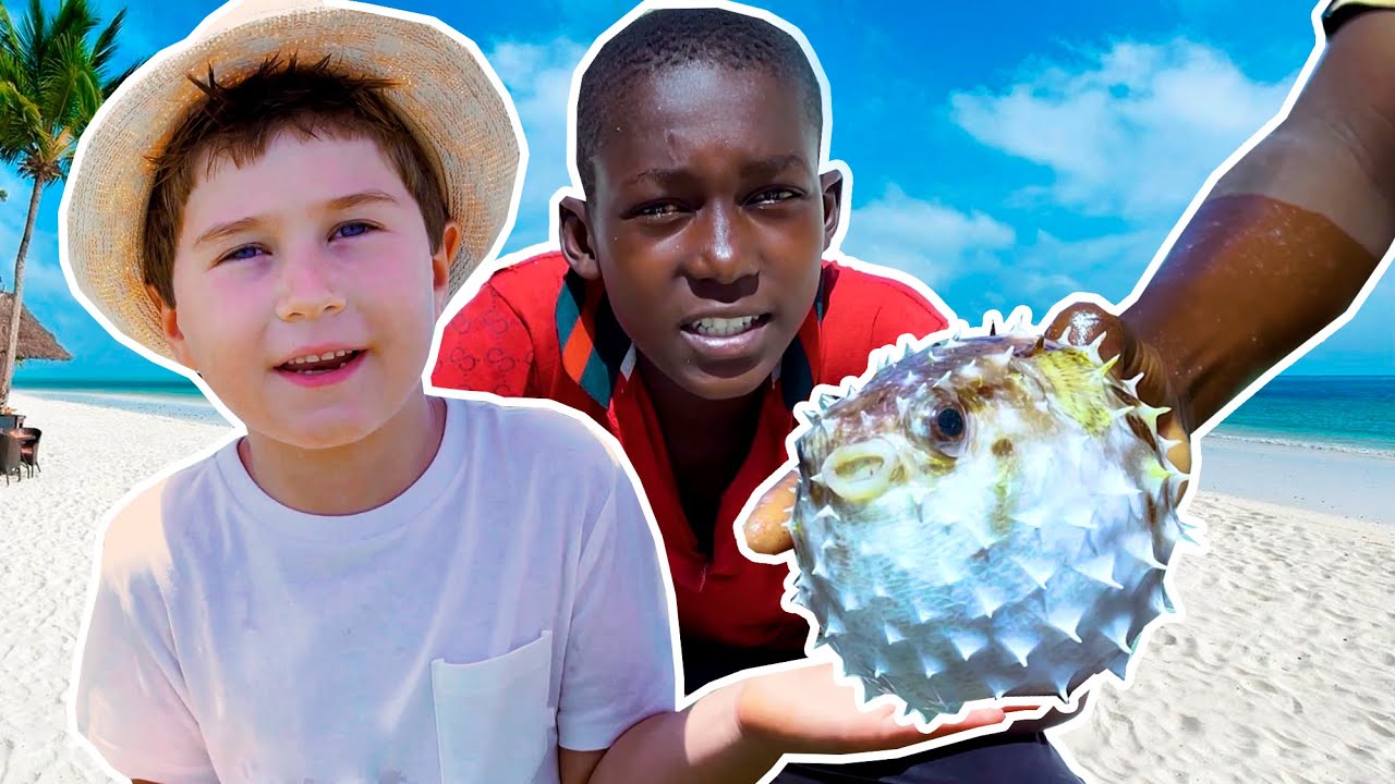 Helping Local Kids Catch Spiky Puffer Fish in Zanzibar