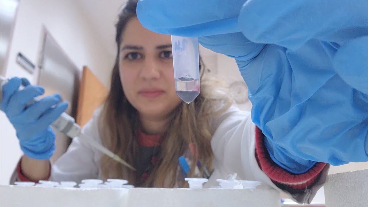 IN VIVO EXPERIMENT [ENG SUB]