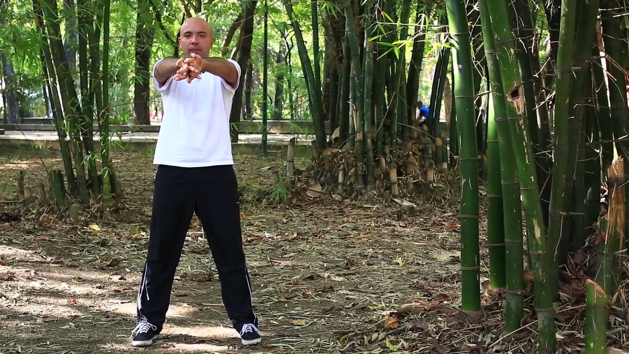 Tutorial | Chi Kung: El Metal