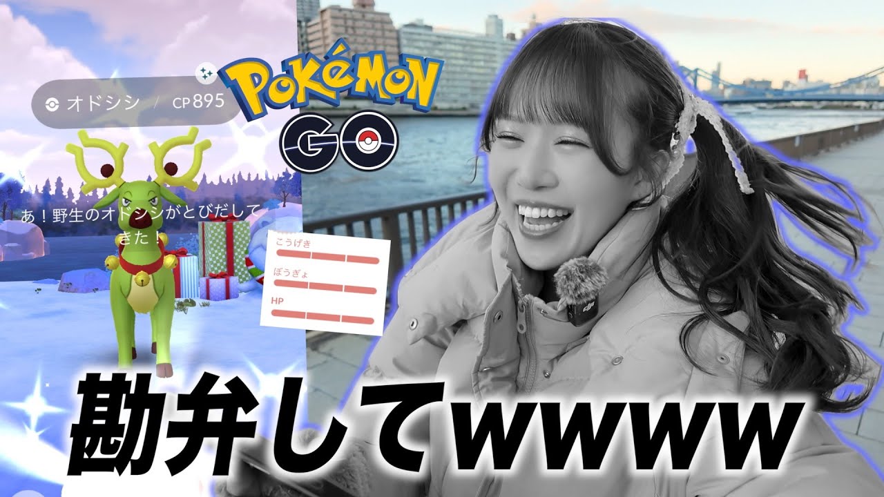 【暴風ポケ活】ベルシシさんキラリーーーン!!!したのは嬉しいんだけどさぁ&hellip;w【ポケモンGO】