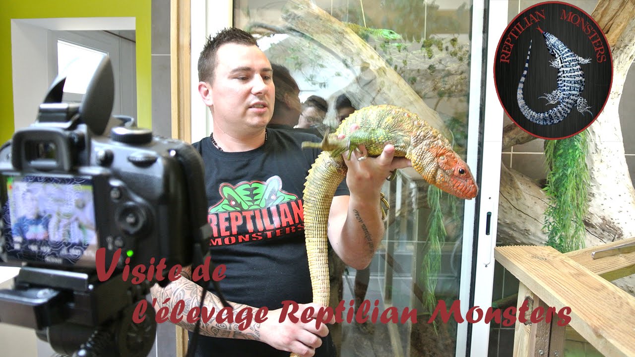 Visite de l'élevage de Reptilian Monsters