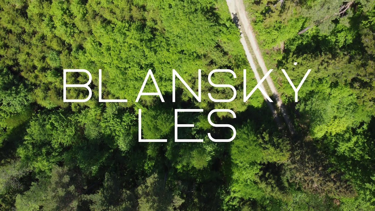 Blanský les