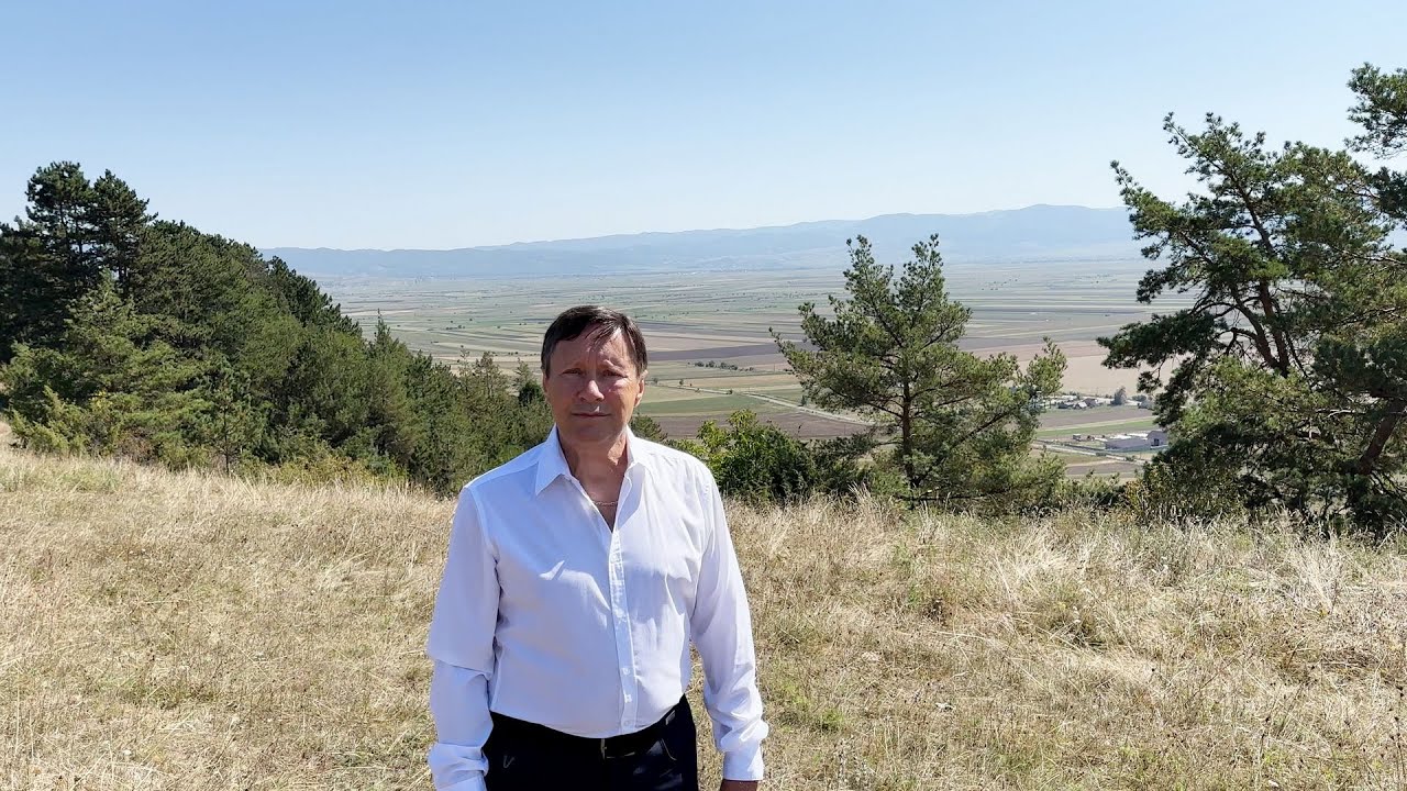 Hargitai pásztor