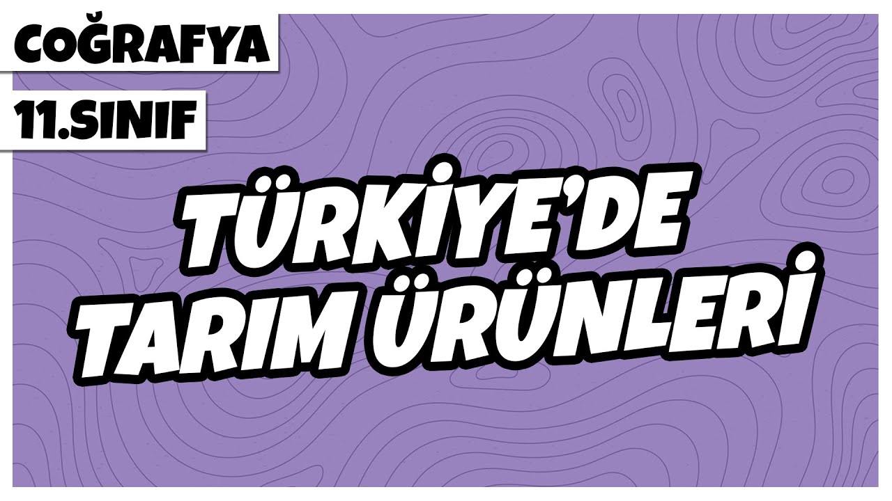 11.Sınıf Coğrafya - Türkiye’de Tarım Ürünleri | 2022