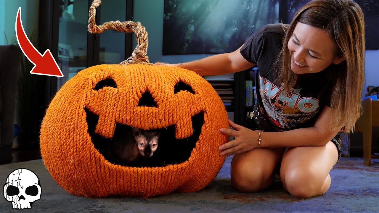 We made our cat a Halloween PUMPKIN House!