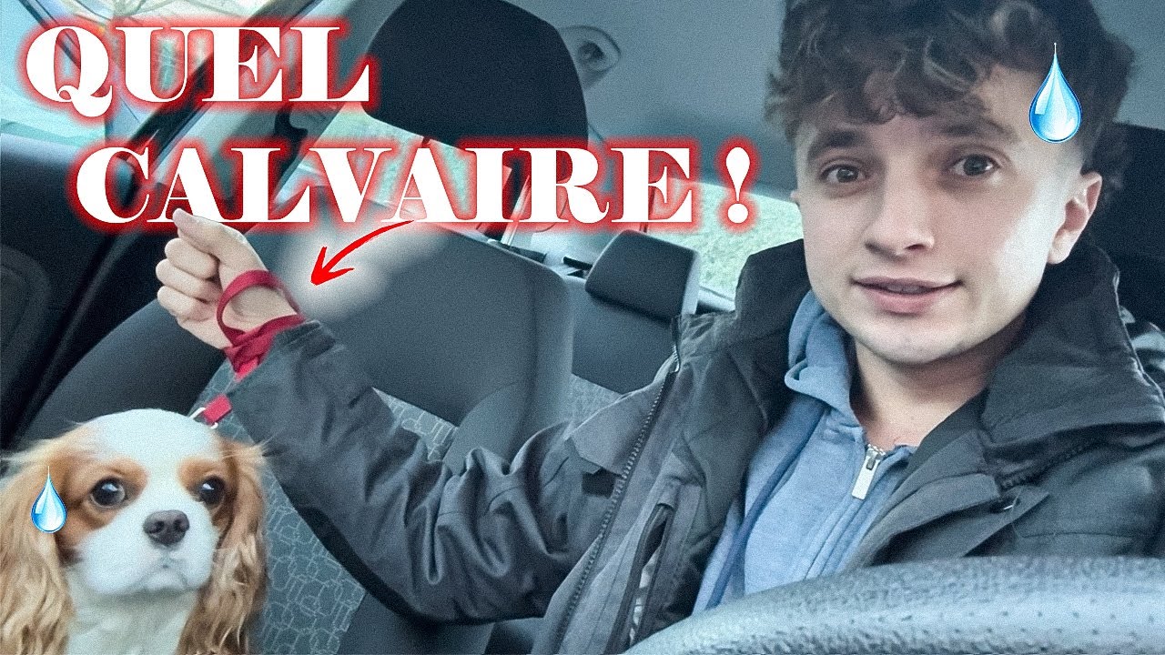 24H ATTACHÉ À PIF