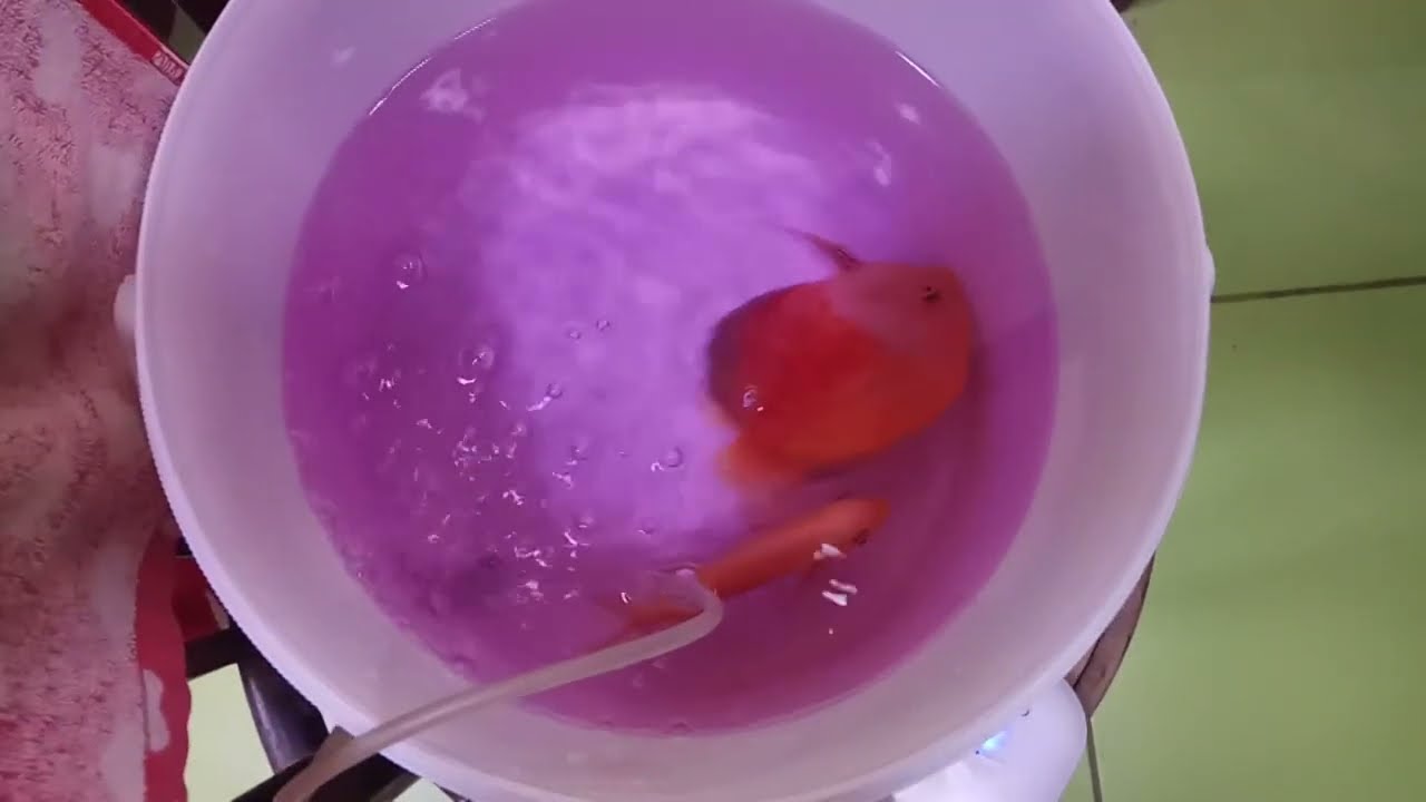 Все новое - это хорошо забытое старое.