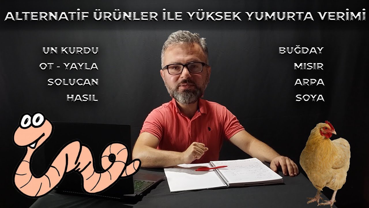 TAVUKLARA UN KURDU VE UYGUN ÜRÜNLER VERİP PARA KAZANMAK | NASIL YANİ 2