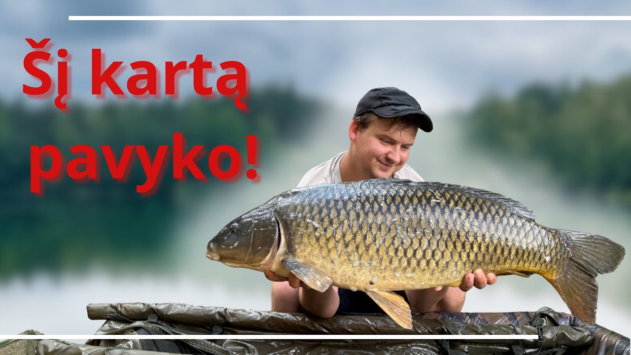 Karpių žvejyba lynelio ežere! 4 sektorius. KONKURSAS TĘSIASI TOLIAU!