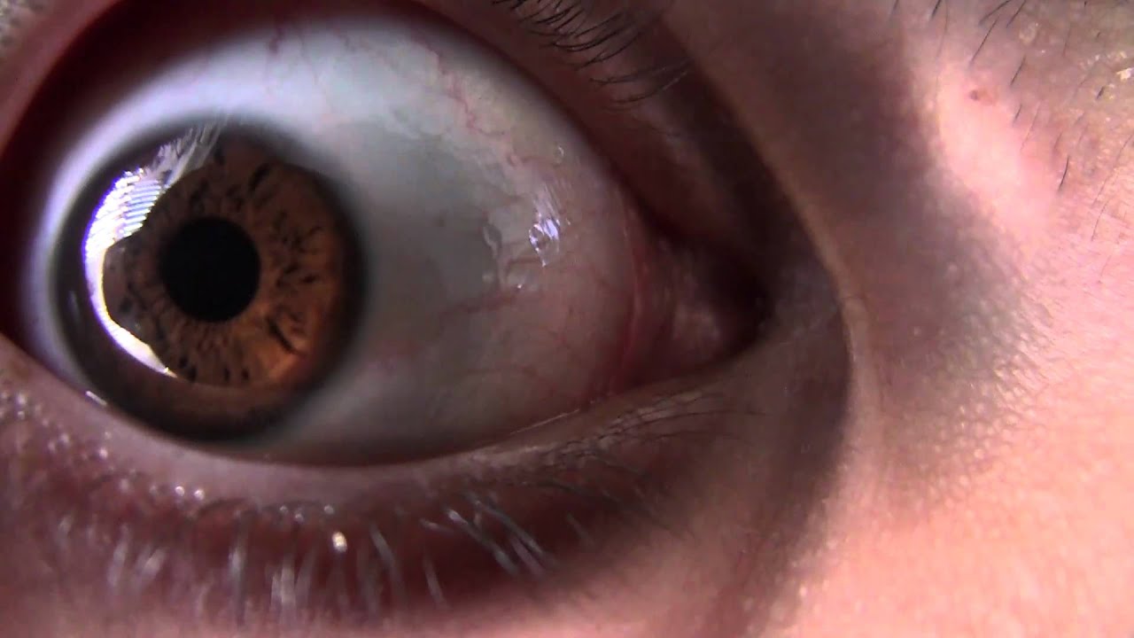 Test canon legria hf s200 (macro eye)