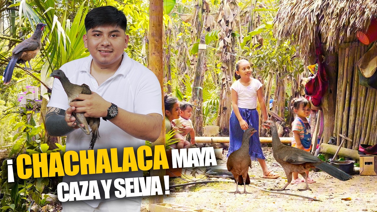 Cazando CHACHALACA comida EXOTICA  en PUEBLOS MAYAS