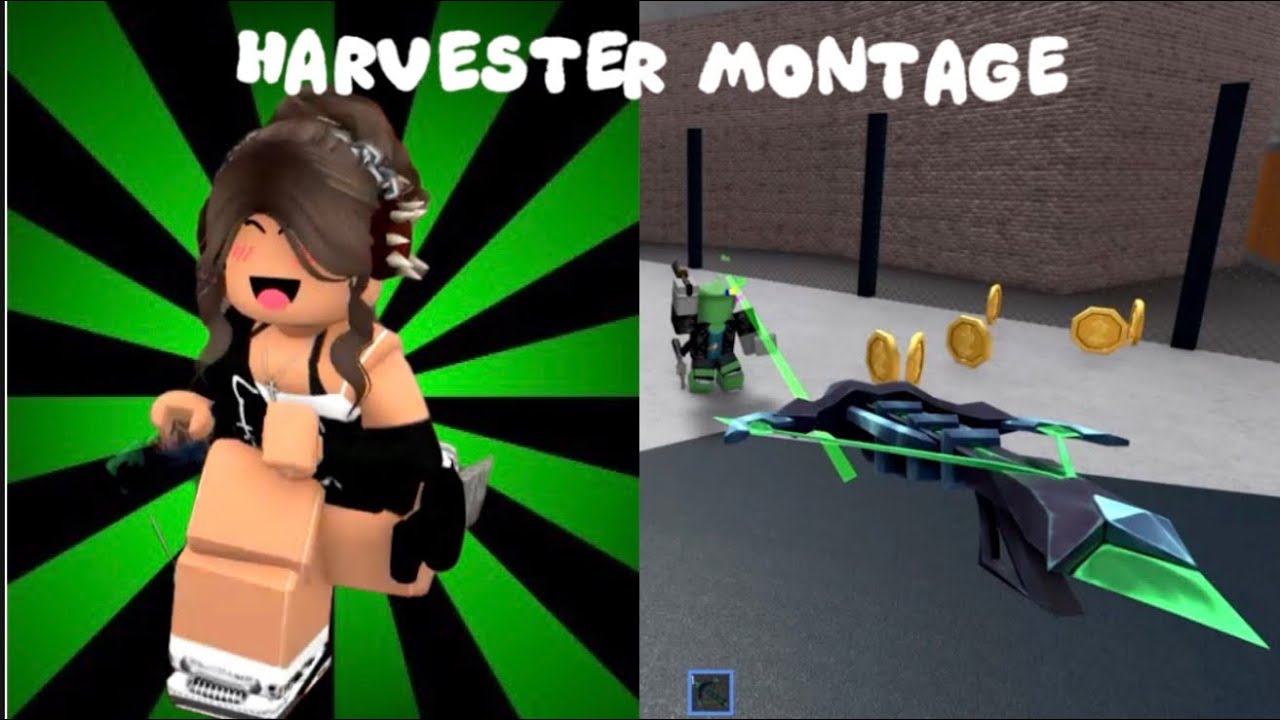 HARVESTER MONTAGE MM2
