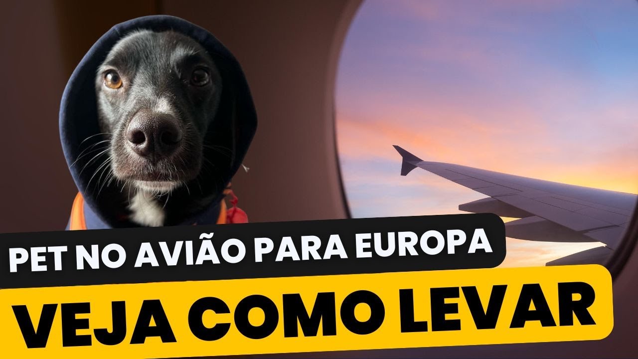 COMO LEVAR SEU PET PARA A EUROPA | Passo a passo PROCESSO EUROPEU | PET NO AVIÃO