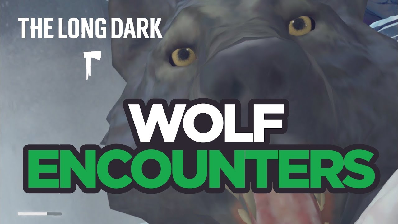The Long Dark | Wolf Encounters/Attacks/Kills (Game-play)