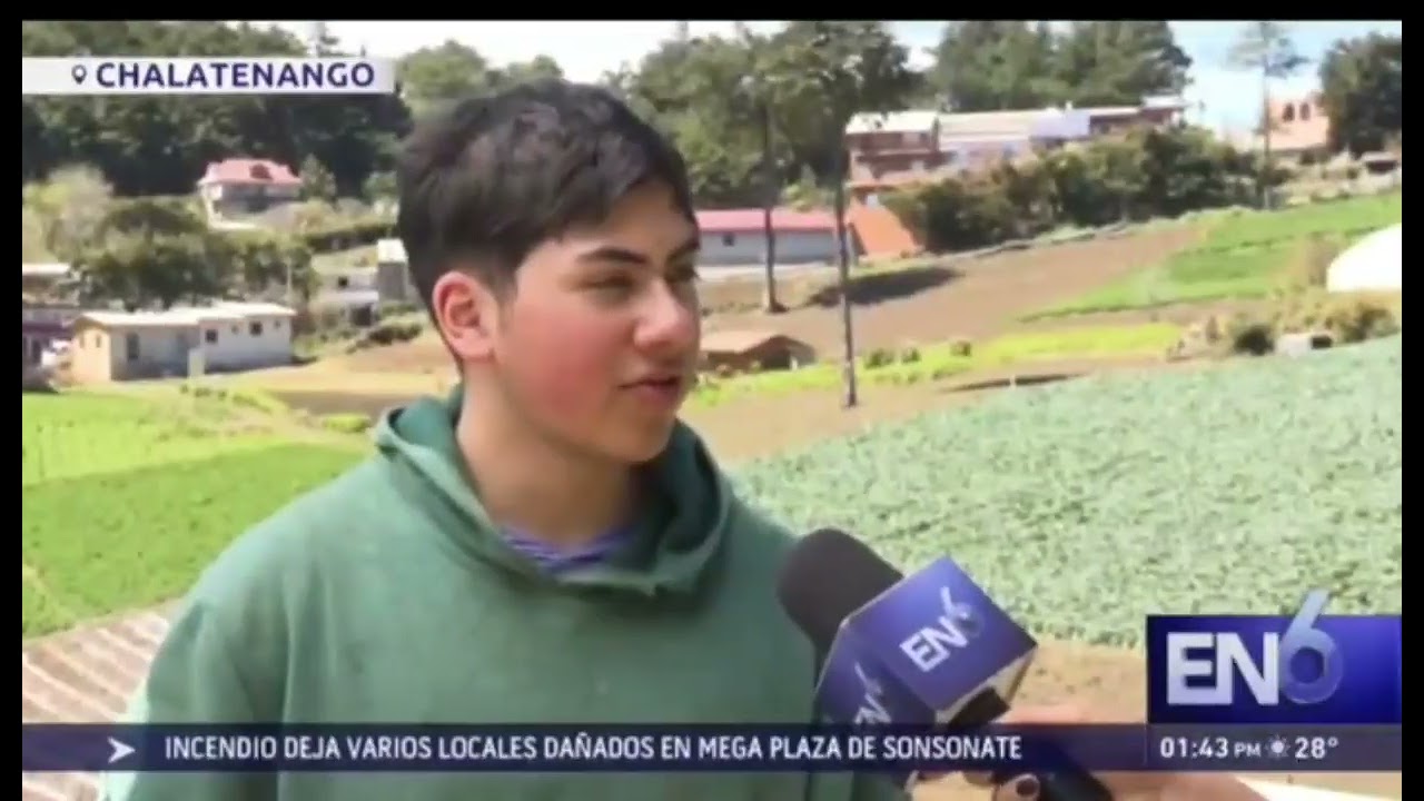 Bajas temperaturas causan daños en los cultivos de Chalatenango.EN6