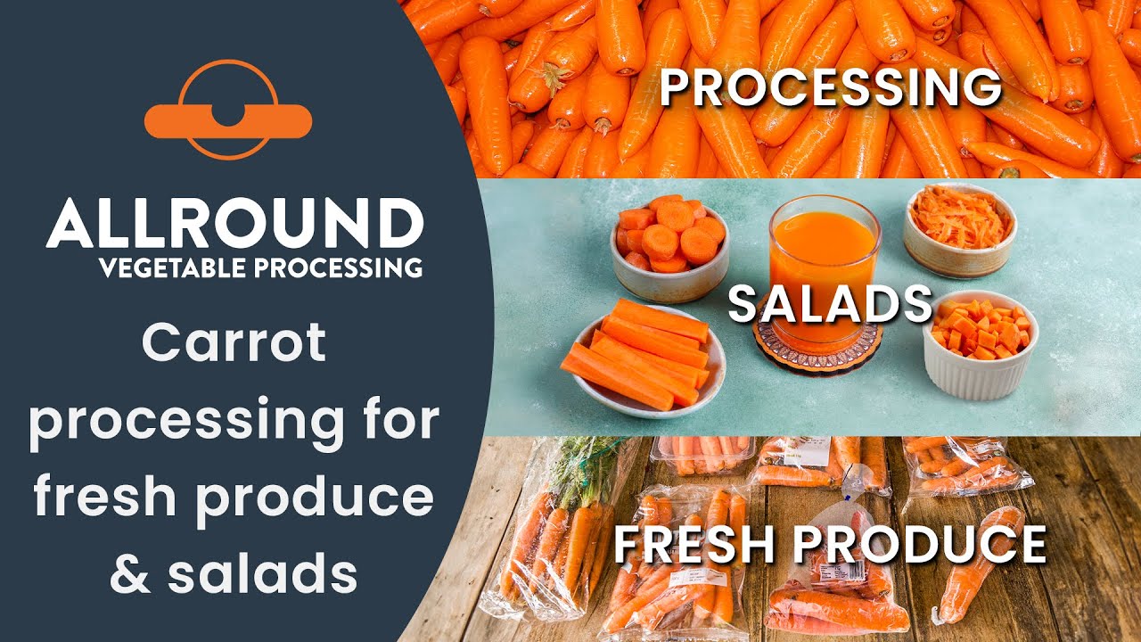 Carrot processing for fresh produce & salads | Allround Vegetable Processing