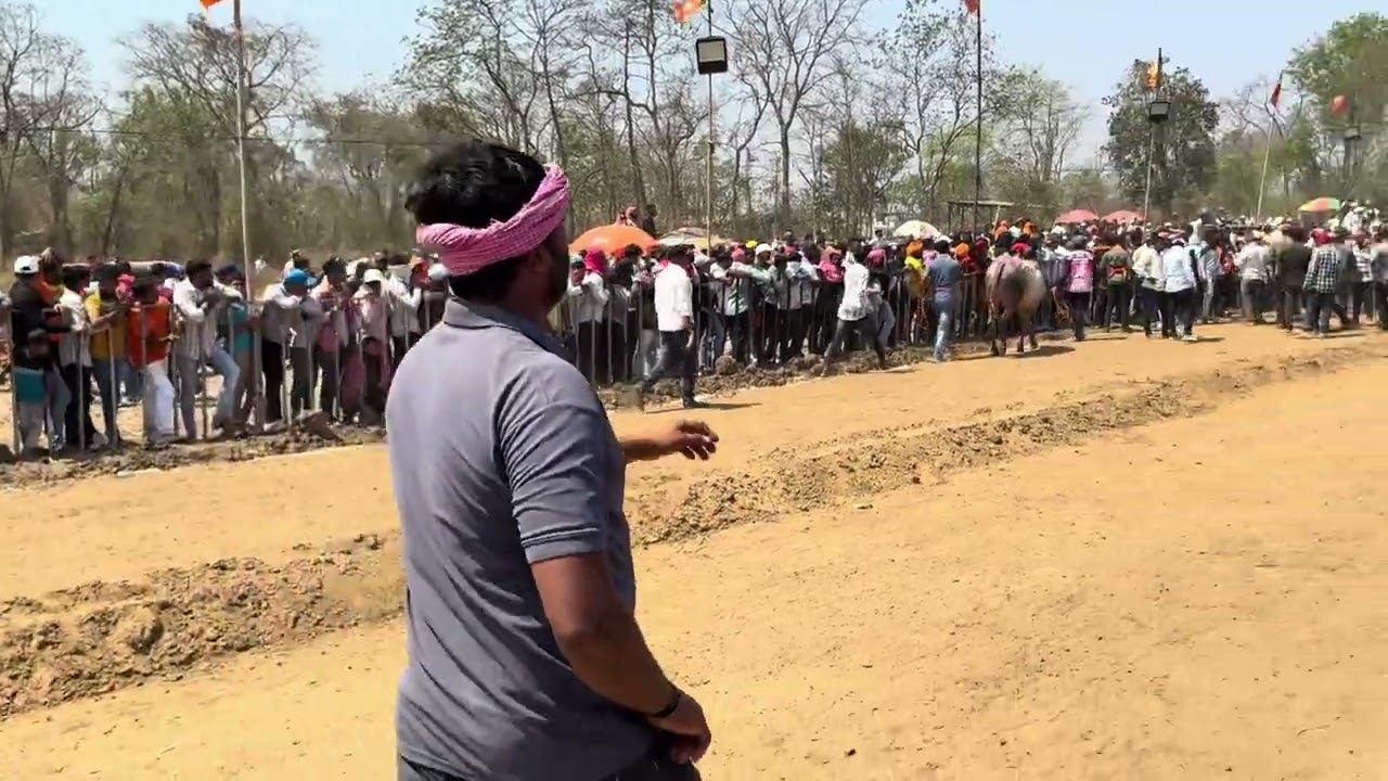 Bailgada sharyat Etade