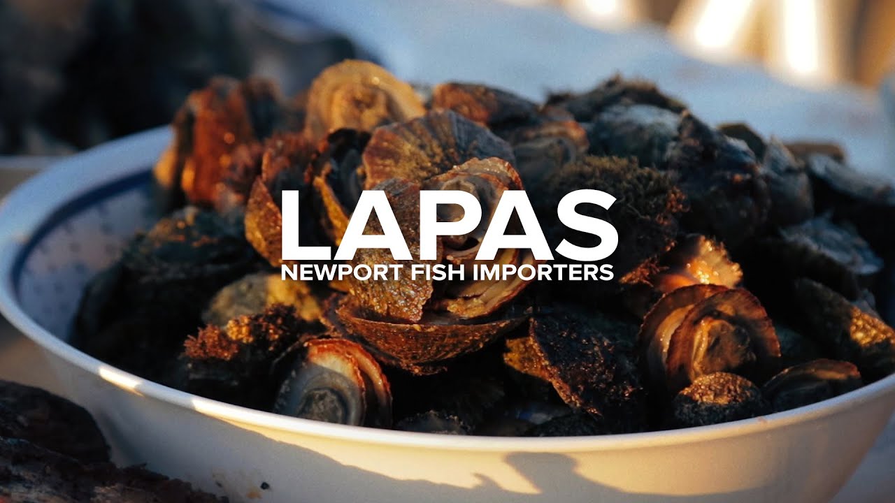 Lapas | Newport Fish Importers | Paisagens & Sabores