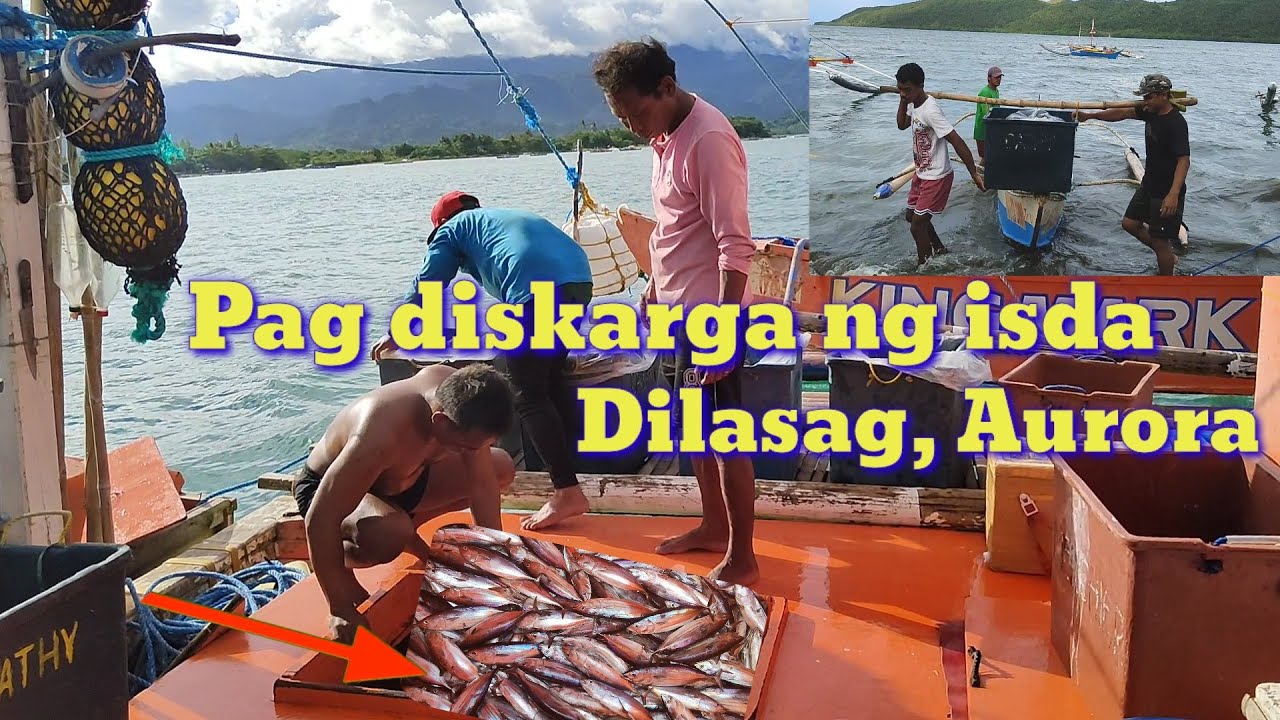 Pag diskarga ng Isda sa Dilasag Aurora | #buhaymangingisda