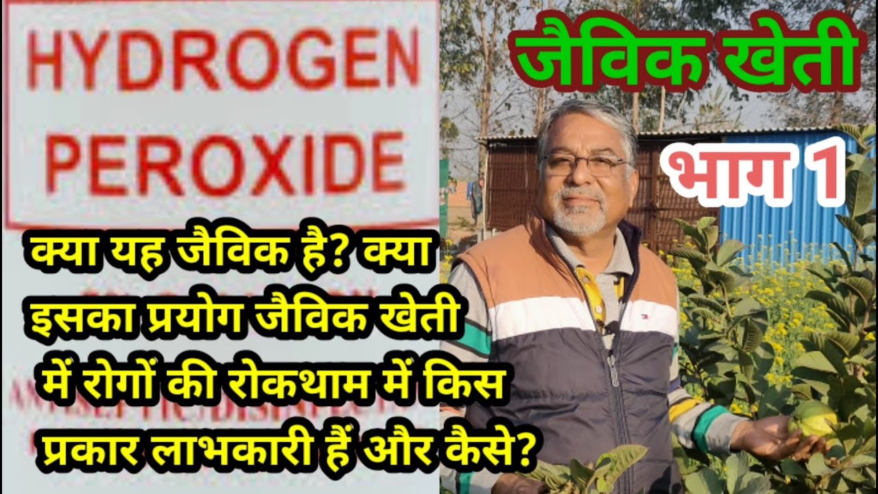 199. हाइड्रोजन परोक्साइड के खेती में क्या लाभ है? ।। Benefits of Hydrogen Peroxide in Farming