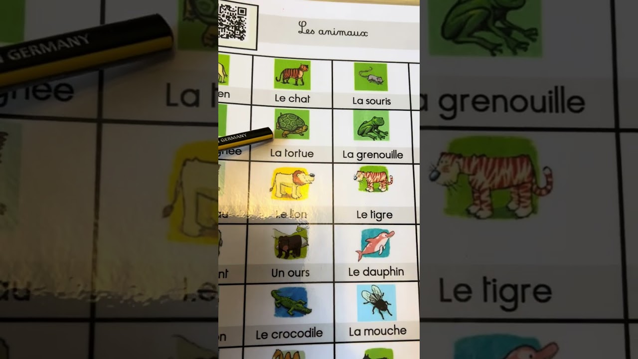 Le lexique des animaux, page 31 de l’imagier. Activités sur blog dansmavalise-fls.eklablog.com #fls