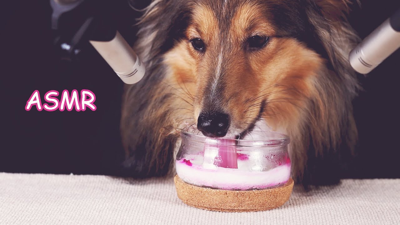 ASMR Yogurt Ice and Dragon Fruit Eating sounds #asmr #notalking #satisfying