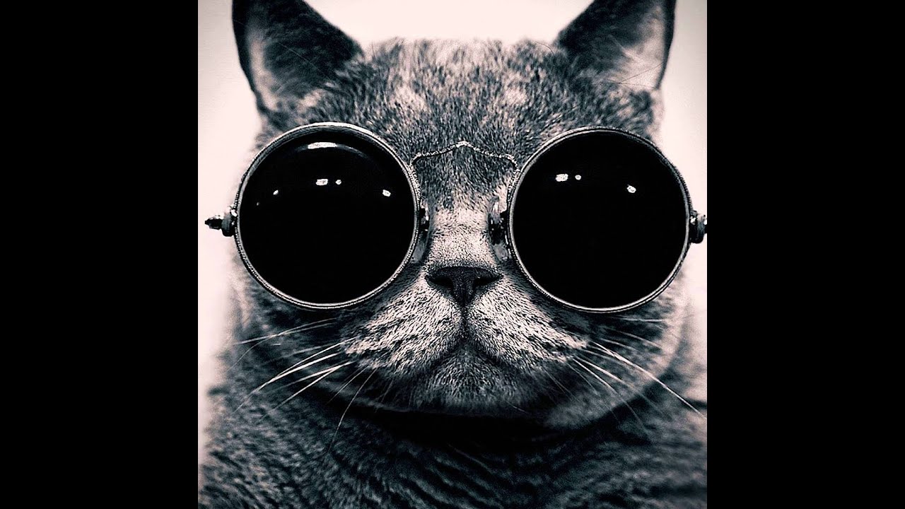 Parov Stelar - Catgroove (10 hours)