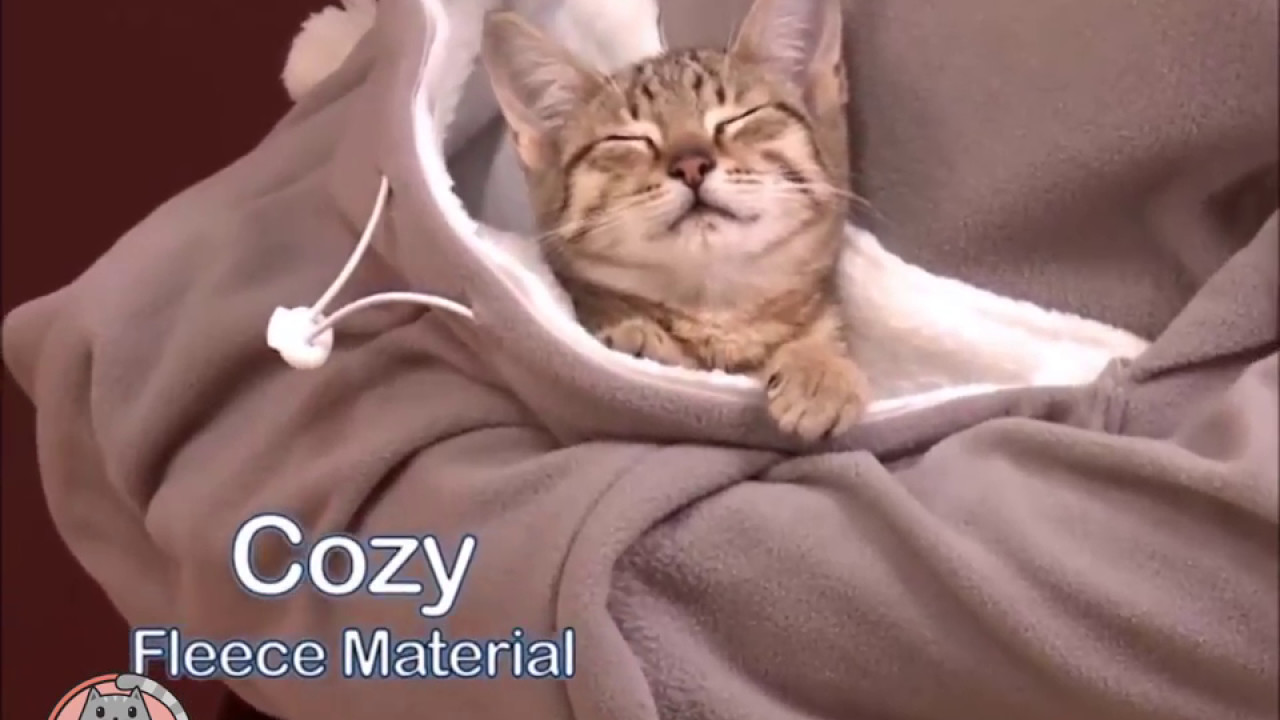 Cat Eared Pouch Sweatshirt