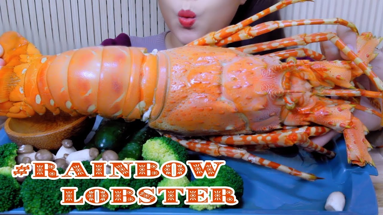 ASMR HUGE Rainbow lobster, Satisfying EATING SOUNDS | LINH-ASMR