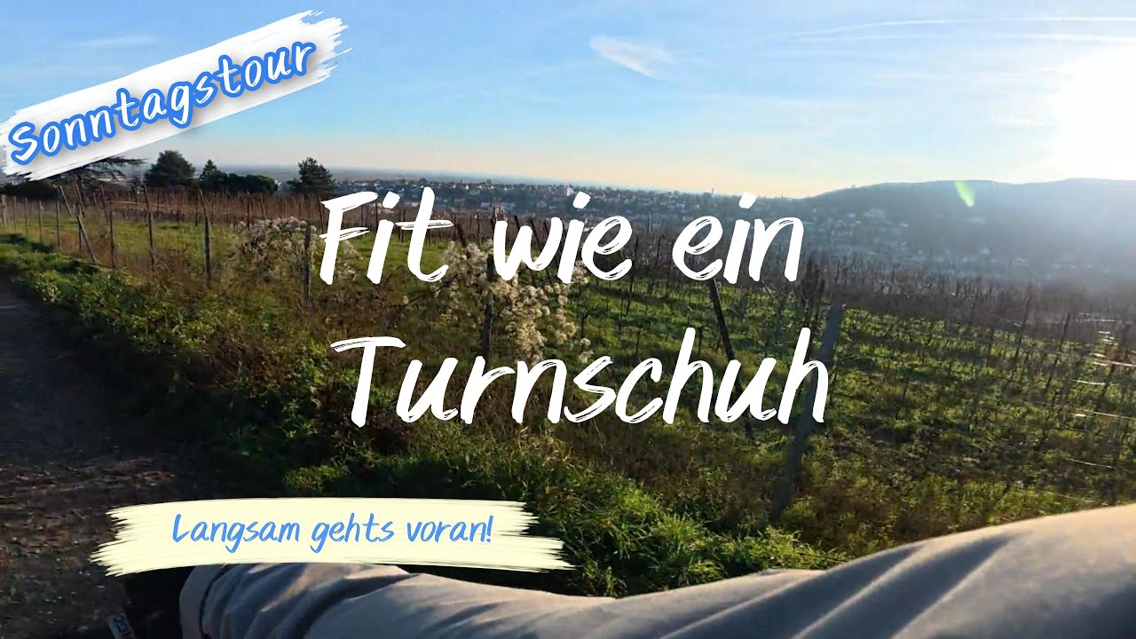 Fit wie ein Turnschuh - Sonntagsrunde