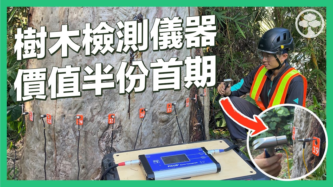 樹藝師分享檢查樹木經驗  驗樹要用到鎚仔同釘！？驗樹要有透視眼｜PiCUS Sonic Tomograph｜聲納探測儀