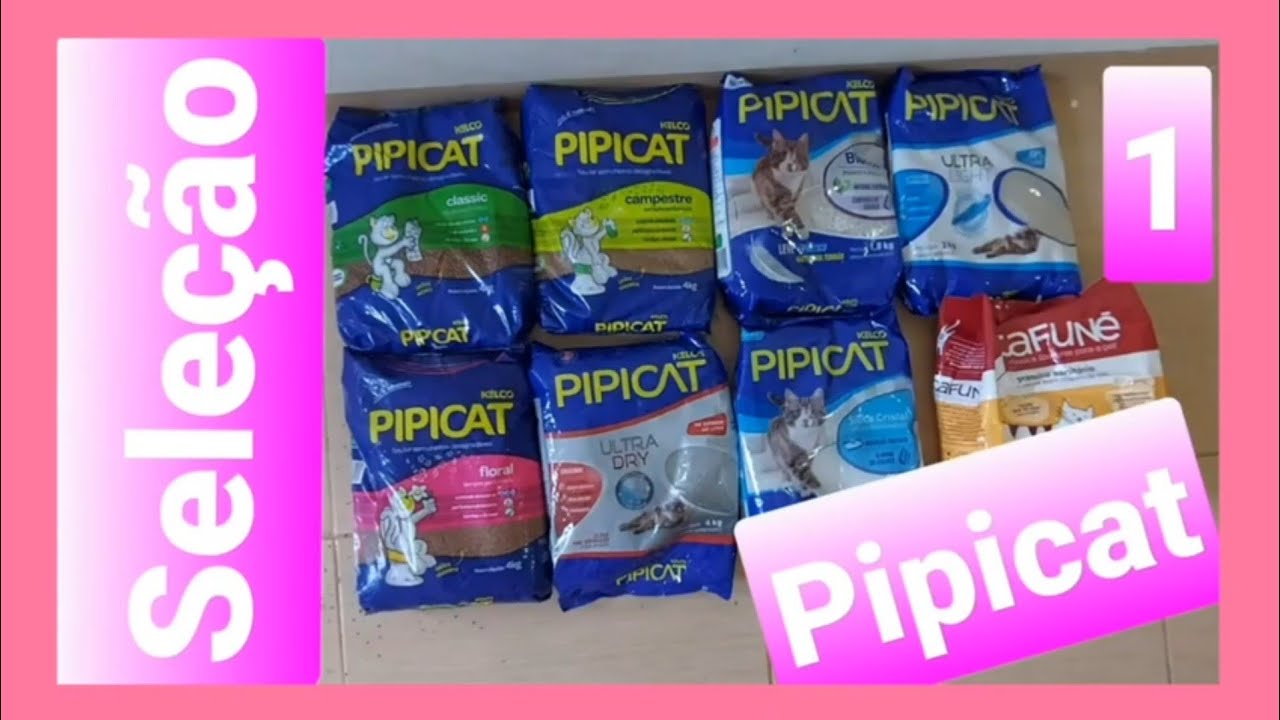 Seleção Pipicat - Comparamos TODAS!!! + 2 Bônus (Cafuné & Granulado de Madeira CarePet)