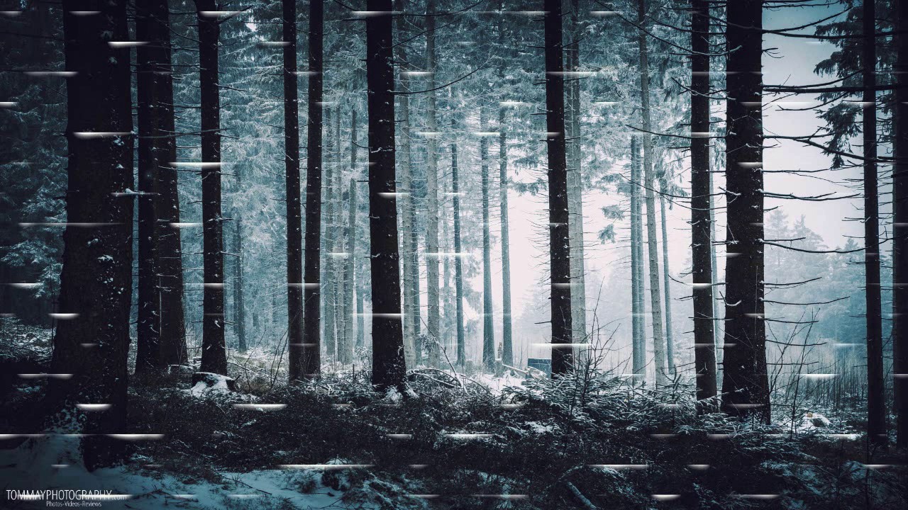 Wyrd - Sad song of the woods