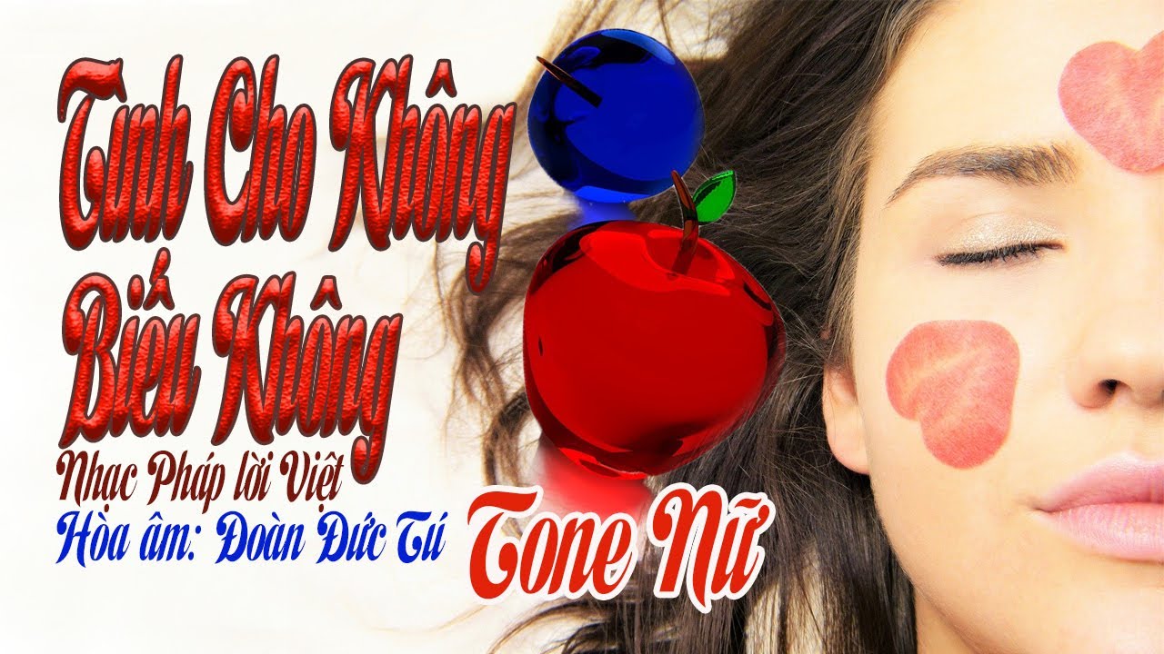 karaoke Tình Cho Không Biếu Không |tone Nữ|