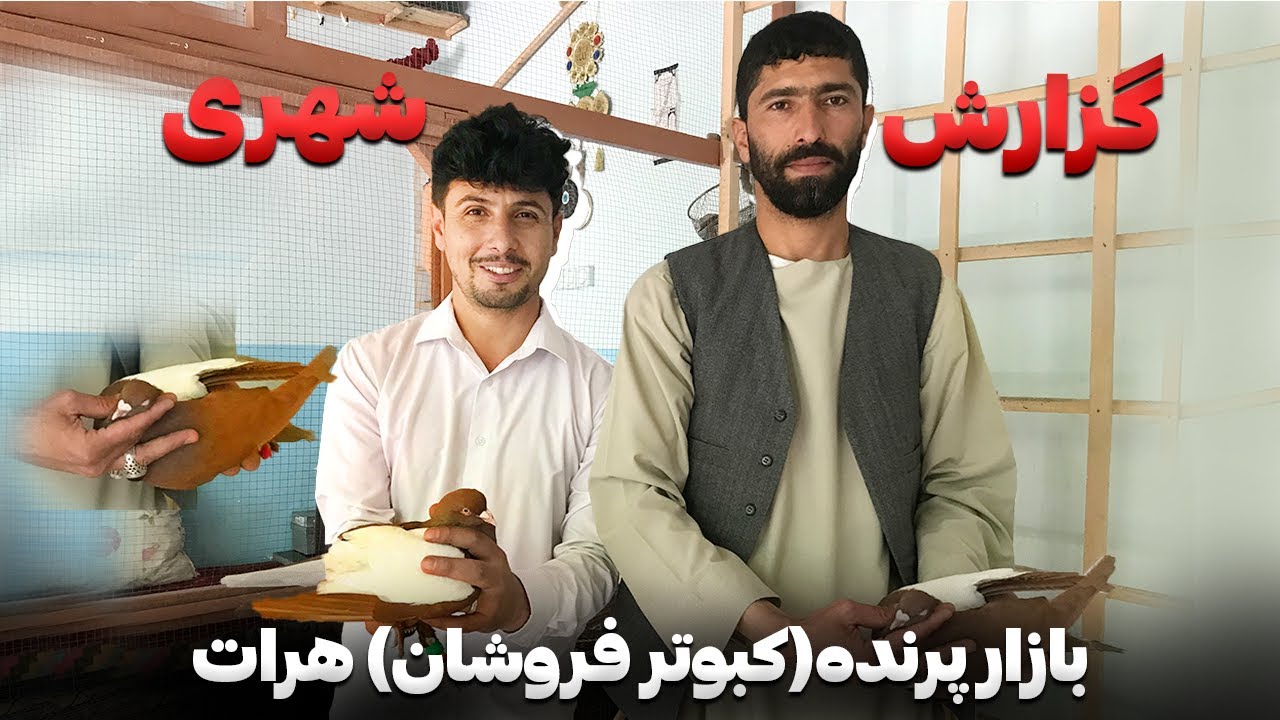 گزارش از بازار کبوتر فروشان هرات
