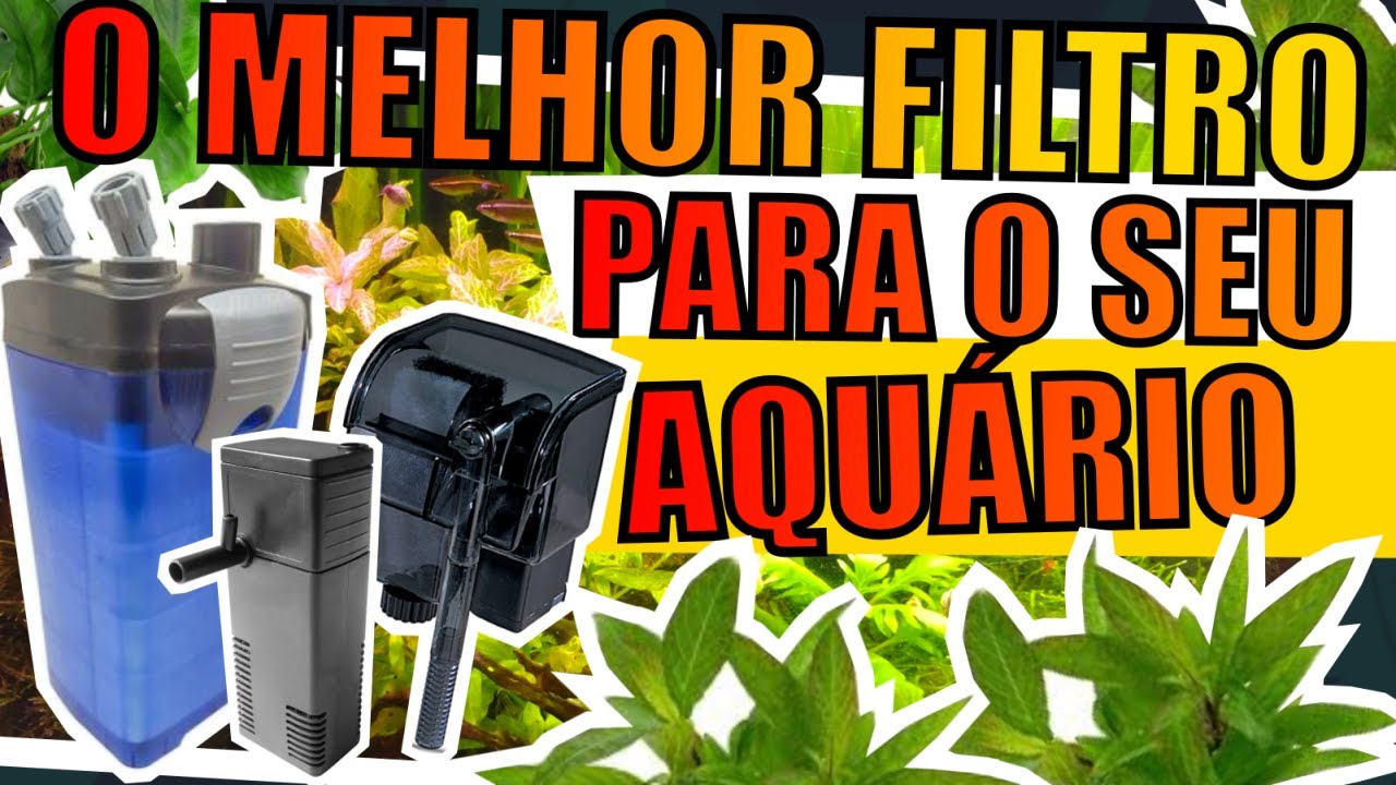 🔴5 TIPOS DE FILTROS PARA AQUÁRIOS |Mr. Betta|