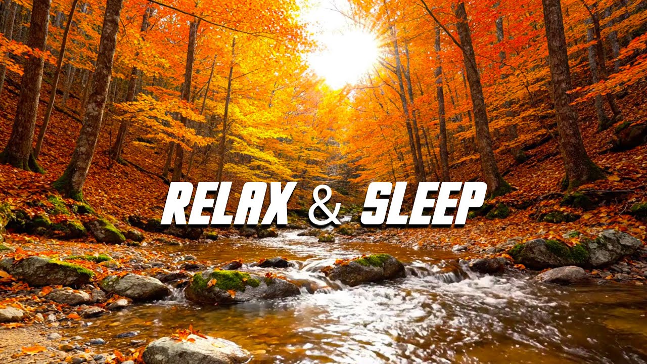 Calming River Stream 🍂 Peaceful Nature Sounds for Deep Relaxation