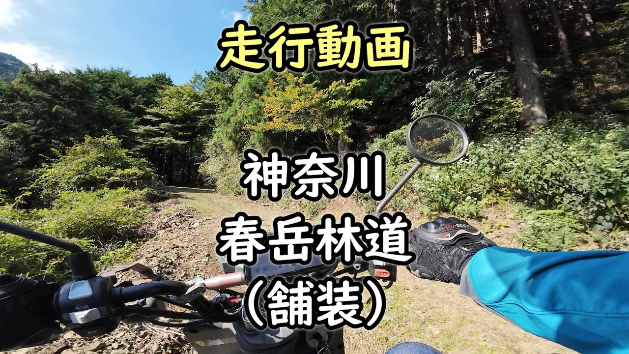 【バイク走行動画】神奈川 「春岳林道」を走行（往復）【BW'S125X】