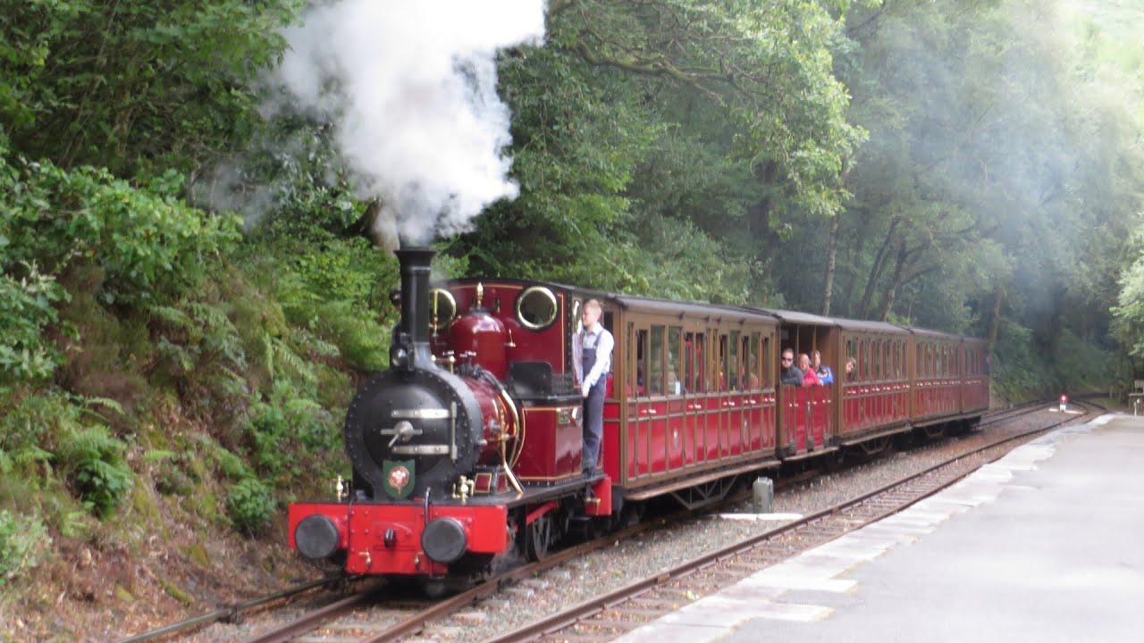 Lineside on the Talyllyn Railway - August 2014