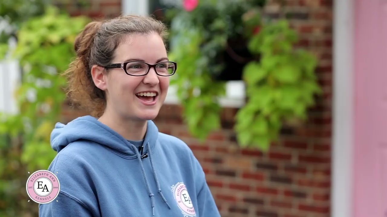 EA Kennels: The Best Affordable Dog Boarding, Cat Boarding, Dog Daycare in Morris County New Jersey