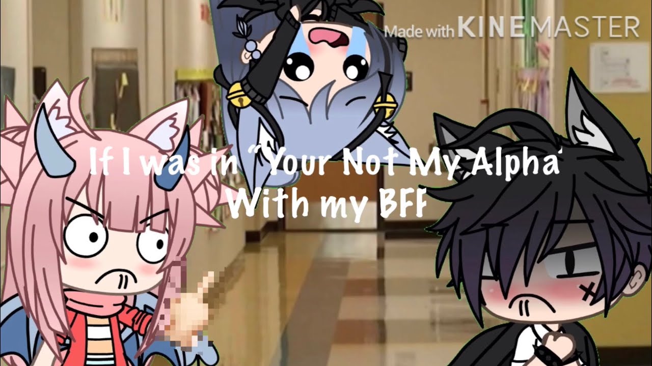 If I was in “Your Not My Alpha” with my BFF