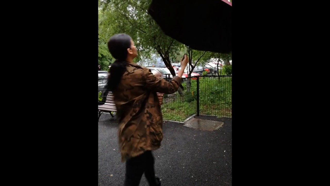 RESISTANCE TEST for the Automatic Windproof Umbrella | Designed for today's rainy days