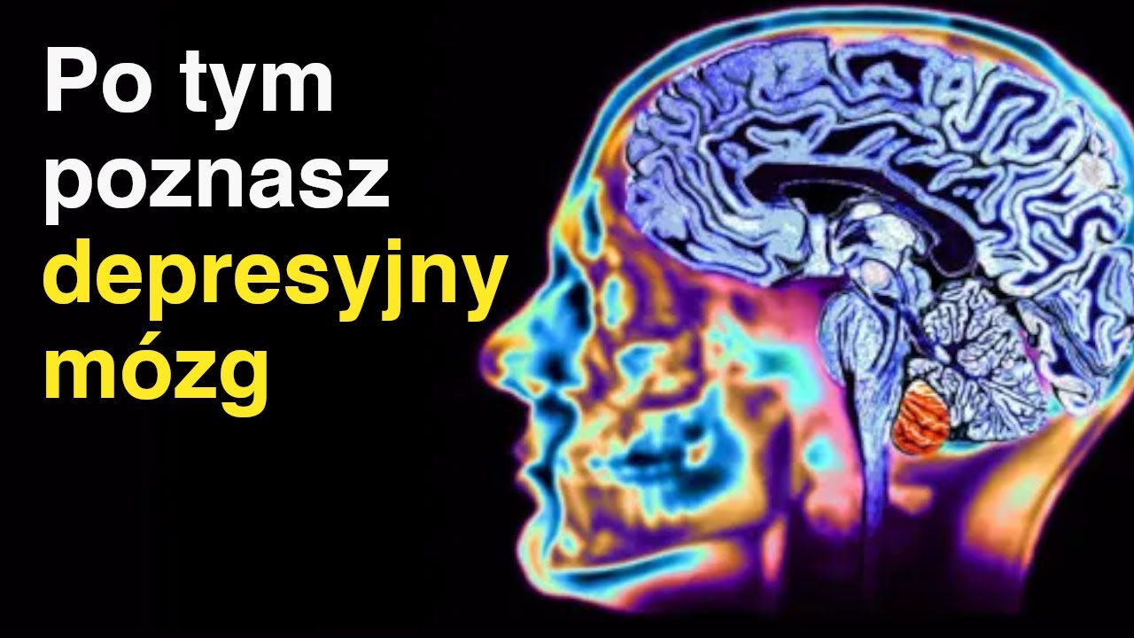 NEUROPLASTYCZNOŚĆ powodem depresji?