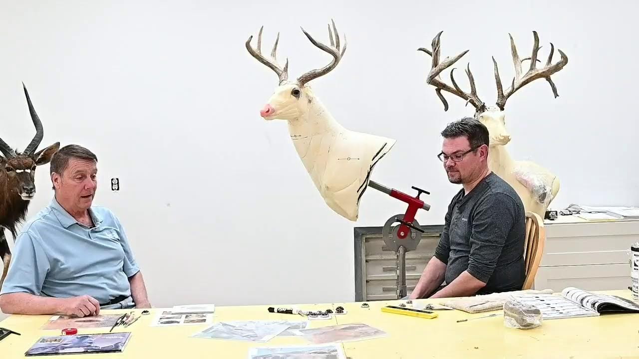 Learn Taxidermy: Eye Setting