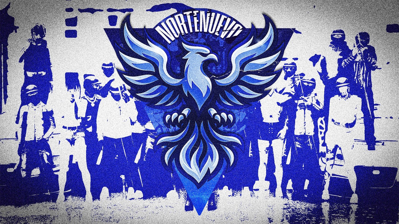🔵 LIVE 🔵 [FPLAYT] - GLOVO, RASURI MAI VORBIM SI ALTE ALEA!
