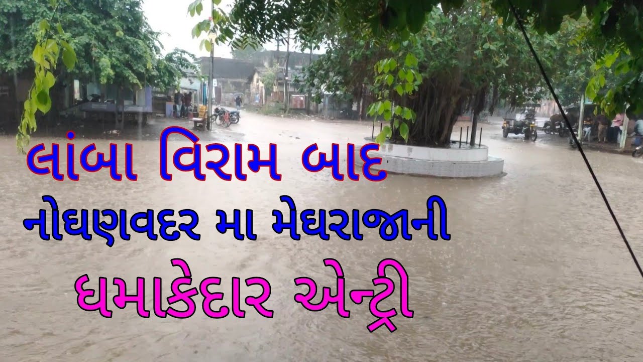પાલીતાણા તાલુકાના નોઘણવદર ગામે લાંબા સમય બાદ વરસાદ જોવા મળેલ ખુશીની લહેર#noghanvadar